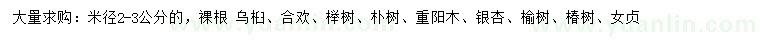 求购乌桕、榆树、重阳木等