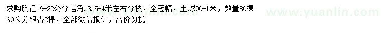 求购胸径19-22公分皂角、60公分银杏