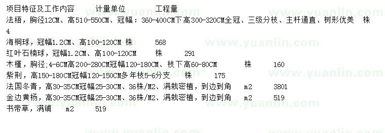 求购法梧、海桐球、红叶石楠球等