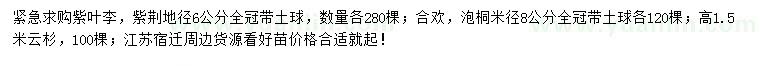 求购紫叶李、紫荆、合欢等