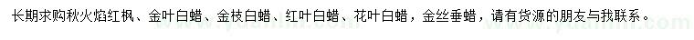 求购秋火焰红枫、金叶白蜡、金枝白蜡等