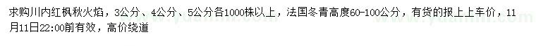 求购3、4、5公分红枫秋火焰、高60-100公分法国冬青
