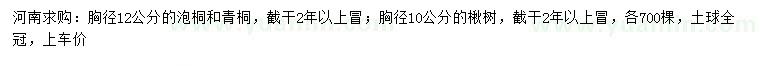 求购泡桐、青桐、楸树