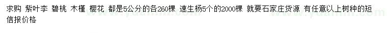 求购紫叶李、碧桃、木槿等