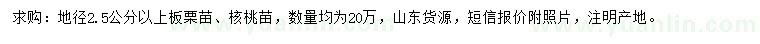 求购地径2.5公分以上板栗苗、核桃苗