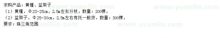 求购23-25公分黄槿、25-30公分盆架子