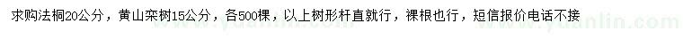 求购20公分法桐、15公分黄山栾树