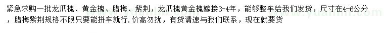 求购龙爪槐、黄金槐、腊梅等