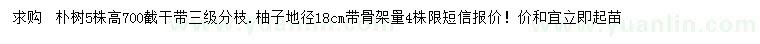 求购28-30公分朴树、地径18公分柚子