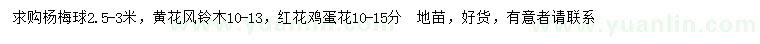 求购杨梅球、黄花风铃木、红花鸡蛋花