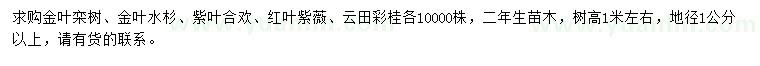 求购金叶栾树、金叶水杉、紫叶合欢等