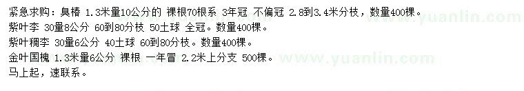 求购臭椿、紫叶李、紫叶稠李等