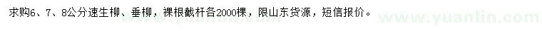 求购6、7、8公分速生柳、垂柳