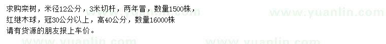 求购米径12公分栾树、冠30公分以上红继木球
