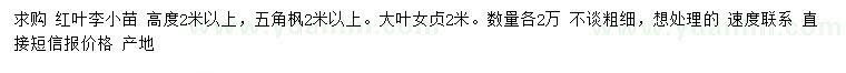 求购红叶李、五角枫、大叶女贞