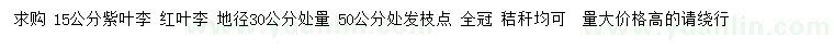 求购15公分紫叶李、红叶李