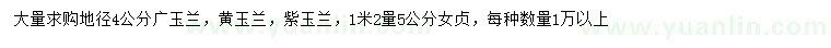 求购广玉兰、黄玉兰、紫玉兰等