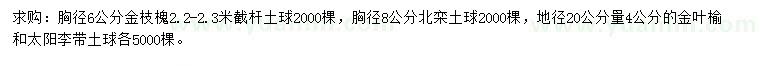 求购金枝槐、北栾、金叶榆等