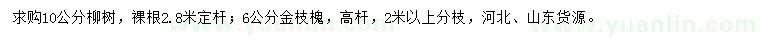 求购10公分柳树、6公分金枝槐