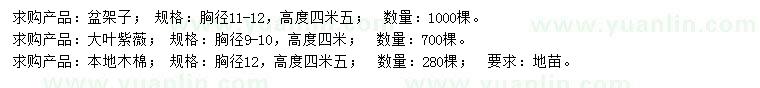 求购盆架子、大叶紫薇、本地木棉