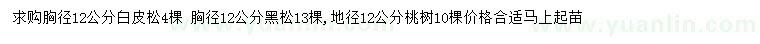 求购白皮松、黑松、桃树