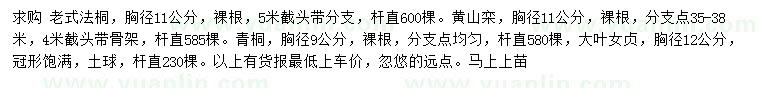 求购老式法桐、黄山栾、青桐等