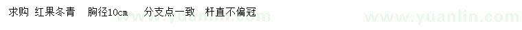 求购胸径10公分红果冬青