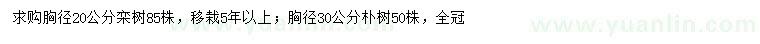 求购胸径20公分栾树、30公分朴树