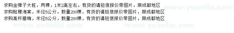 求购金弹子大桩、贴梗海棠、高杆腊梅