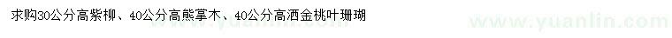 求购紫柳、熊掌木、洒金桃叶珊瑚