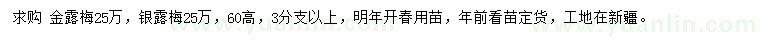 求购高60公分金露梅、银露梅