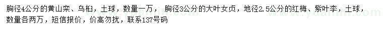 求购黄山栾树、乌桕、大叶女贞等