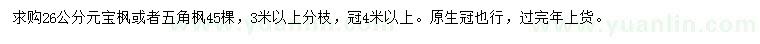 求购26公分元宝枫或者五角枫