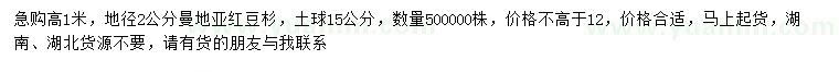 求购高1米、地径2公分曼地亚红豆杉