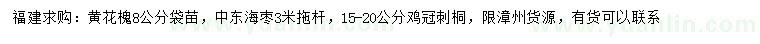 求购黄花槐、中东海枣、鸡冠刺桐