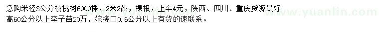 求购米径3公分核桃树、高60公分以上李子苗