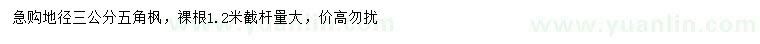 求购地径3公分五角枫