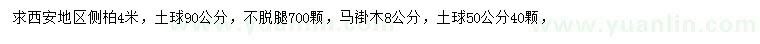 求购4米侧柏、8公分马褂木