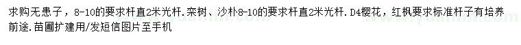 求购无患子、栾树、沙朴等