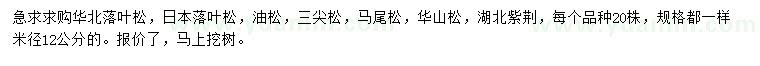 求购华北落叶松、日本落叶松、油松等