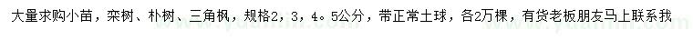 求购栾树、朴树、三角枫