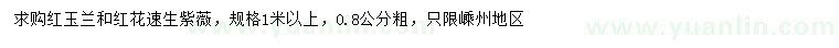 求购1米以上红玉兰、红花速生紫薇 