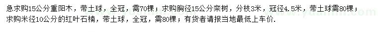 求购重阳木、栾树、红叶石楠