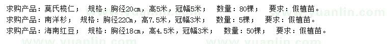 求购莫氏榄仁、南洋杉、海南红豆