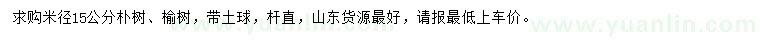 求购米径15公分朴树、榆树