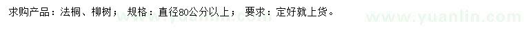 求购直径80公分以上法桐、柳树