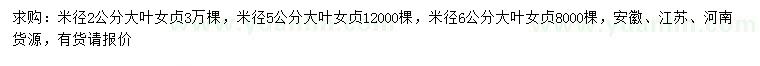 求购米径2、5、6公分大叶女贞