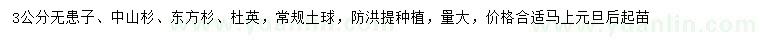 求购无患子、中山杉、东方杉等