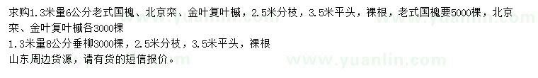 求购老式国槐、北京栾、金叶复叶槭等