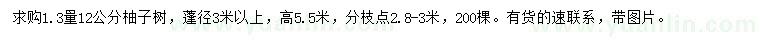 求购1.3量12公分柚子树